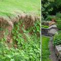 Effective Strategies for Preventing Soil Erosion in Your Spring Garden