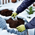 Essential Strategies for Enhancing Soil Quality in Your Winter Garden