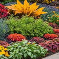 Essential Plants for Your Fall Garden: A Seasonal Care Guide