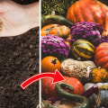Essential Tips for Preventing Disease in Your Fall Garden