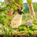 Natural Pest Control Methods for Winter Garden Care