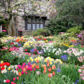 Spring Flowering: The Best Blooms for Your Seasonal Garden