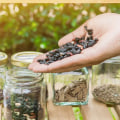 Essential Tips for Storing and Preserving Seeds for Your Fall Garden