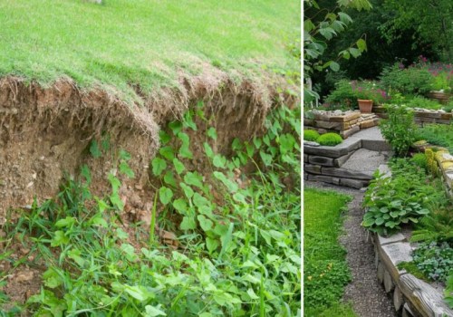 Effective Strategies for Preventing Soil Erosion in Your Spring Garden