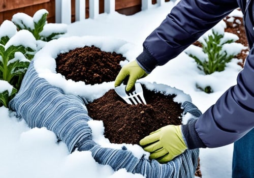 Essential Strategies for Enhancing Soil Quality in Your Winter Garden