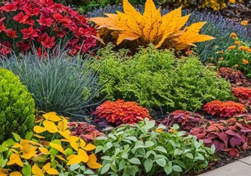 Essential Plants for Your Fall Garden: A Seasonal Care Guide