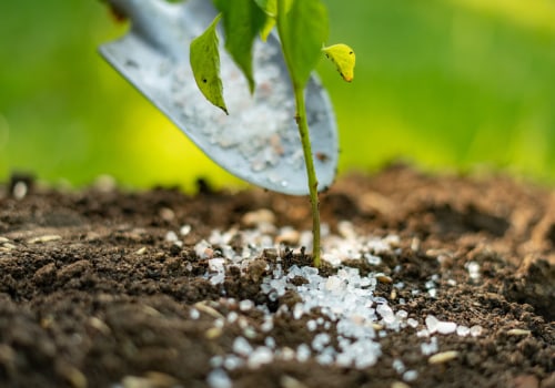 Timing Your Spring Fertilization for a Thriving Garden