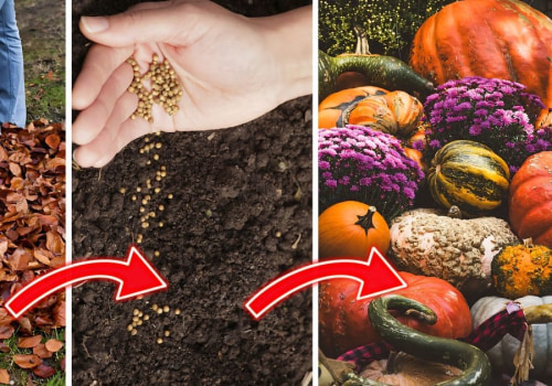 Essential Tips for Preventing Disease in Your Fall Garden