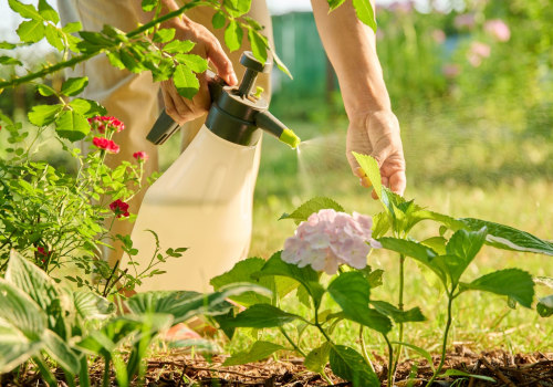 Natural Pest Control Methods for Winter Garden Care